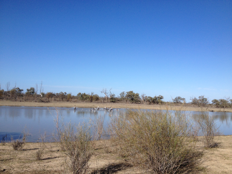 Illustration for article titled Roamin' the Riverland.